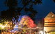 ECHO Festival - East Coast Harvest Odyssey 2021 - thumb 1