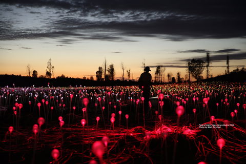 Field Of Light Uluru - Tourism Brisbane 0
