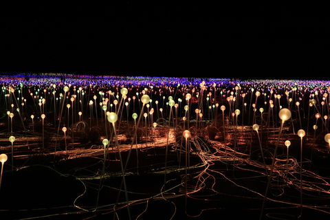 Field Of Light Uluru - Tourism Brisbane 1