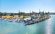 Fred Williams Aquatic Festival - thumb 0