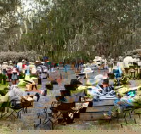 Grazing Down the Lachlan - Tourism Brisbane