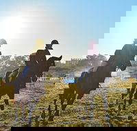 Gunnedah Showjumping Festival - Tourism Brisbane