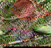 Guyra TroutFest - Tourism Brisbane