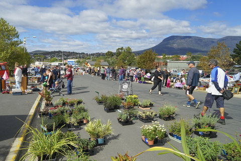 Hobart Showground Sunday Market - Weekly - Tourism Brisbane 0