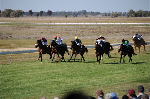 Jerilderie Gold Cup Races - Brisbane Tourism 0