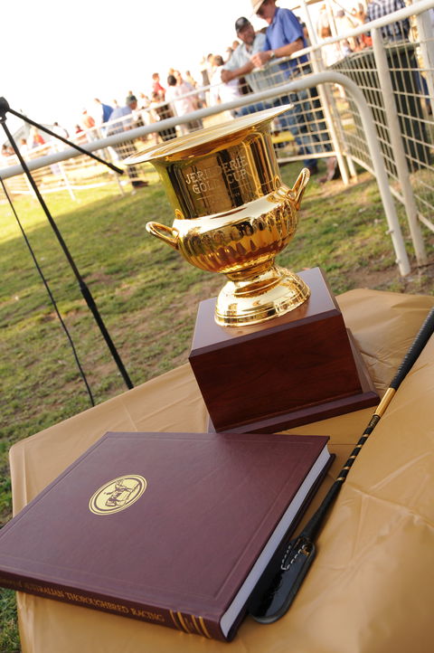 Jerilderie Gold Cup Races - Brisbane Tourism 1