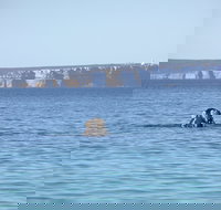 Jervis Bay's Sydney to Hobart Experience - Brisbane Tourism