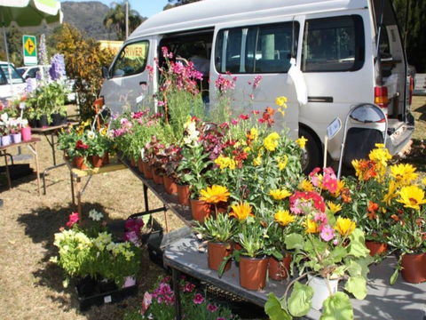 Johns River Country Markets - Tourism Brisbane 0