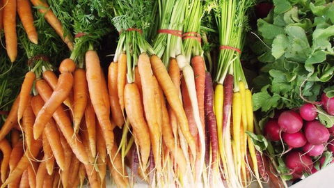 Joondalup Growers Market - Tourism Brisbane 0