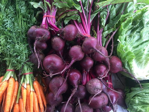 Joondalup Growers Market - Tourism Brisbane 2