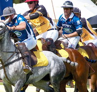 Land Rover Polo in the City Brisbane - Tourism Brisbane