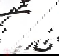 Learn Japanese calligraphy - Brisbane Tourism