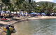 Lions Airlie Beach Community Markets - thumb 0