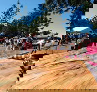 Maleny Wood Expo From Seed to Fine Furniture - Brisbane Tourism
