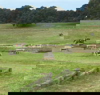 Mount Gambier and District Pony Club Horse Trials 2020 - Tourism Brisbane