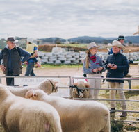 Mudgee Small Farm Field Days - Tourism Brisbane