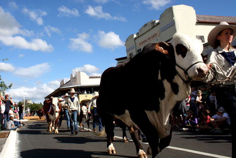 NCMC Casino Beef Week - Tourism Brisbane 1