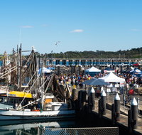 Ocean Harvest Festival - Tourism Brisbane