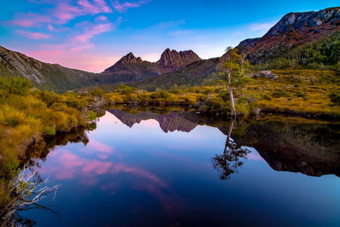Pfeiffer Wines Photographic Exhibition - Wodonga Albury Camera Club - Tourism Brisbane 0