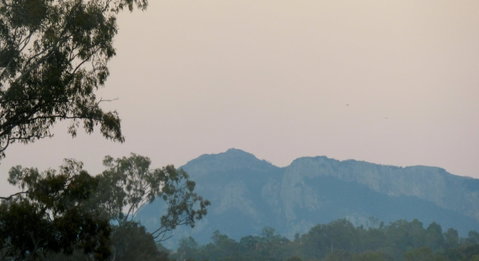Scenic Rim Trail Running Series - Tourism Brisbane 0