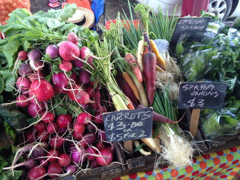 South Geelong Farmers Market - Tourism Brisbane 0