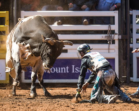 The 2020 Virtual Mount Isa Mines Rodeo - Tourism Brisbane 2