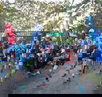 The Blackall 100 - Brisbane 4u