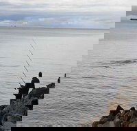 Whale Watching in Portland - Tourism Brisbane