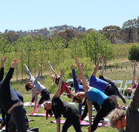 Yoga in the Vines - Tourism Brisbane