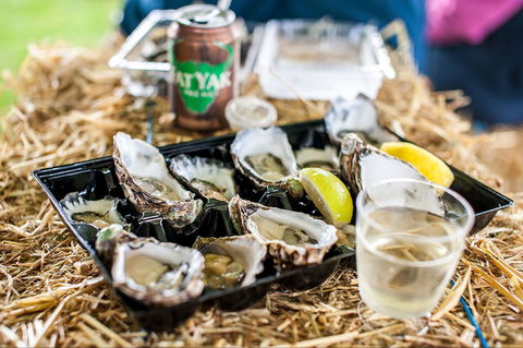Narooma Oyster Festival - Brisbane Tourism 1