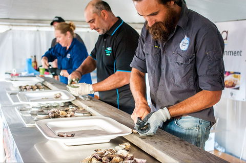Narooma Oyster Festival - Brisbane Tourism 2