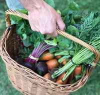 Orange Farmers Market - Tourism Brisbane