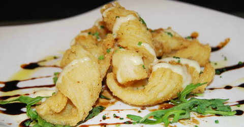 The Bite Parramatta - Tourism Brisbane 2