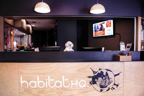 Habitat HQ - Hostel - Brisbane 4u 3