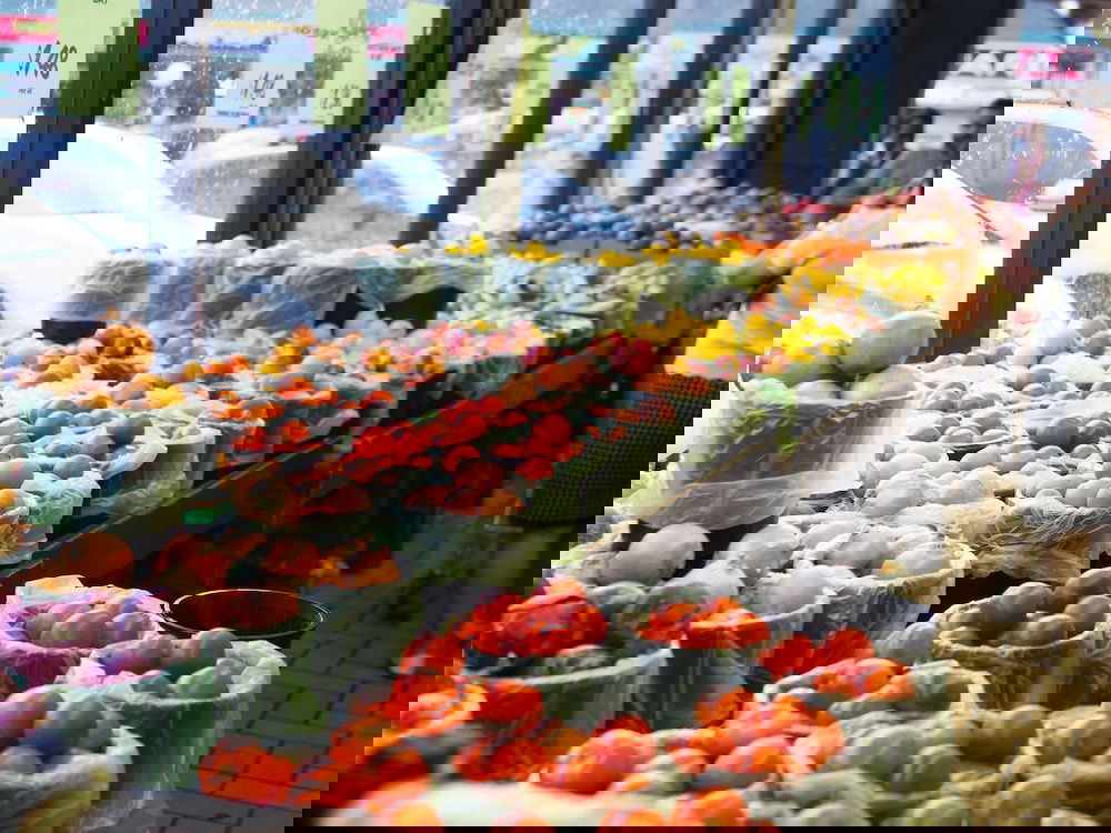 Archerfield QLD Tourism Brisbane