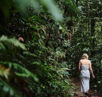 Daintree Ecolodge - Brisbane Tourism