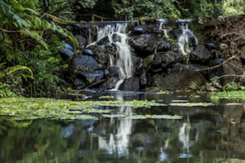 Kondalilla Eco Resort - Tourism Brisbane 0