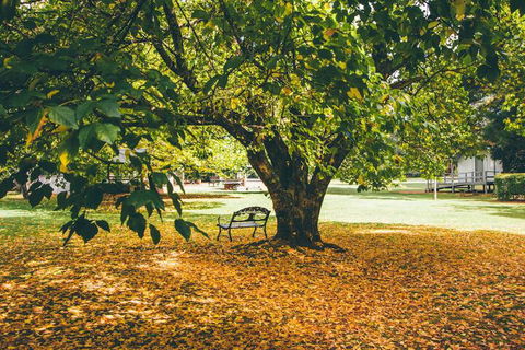 Federation Gardens & Possums Hideaway - Tourism Brisbane 6