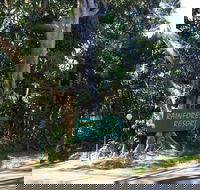 Byron Bay Rainforest Resort - Tourism Brisbane
