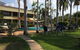 Pine Tree Motel - thumb 1