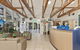 Ashmore Palms Holiday Village - thumb 6