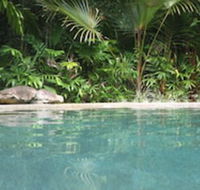 Daintree Rainforest Retreat - Brisbane Tourism