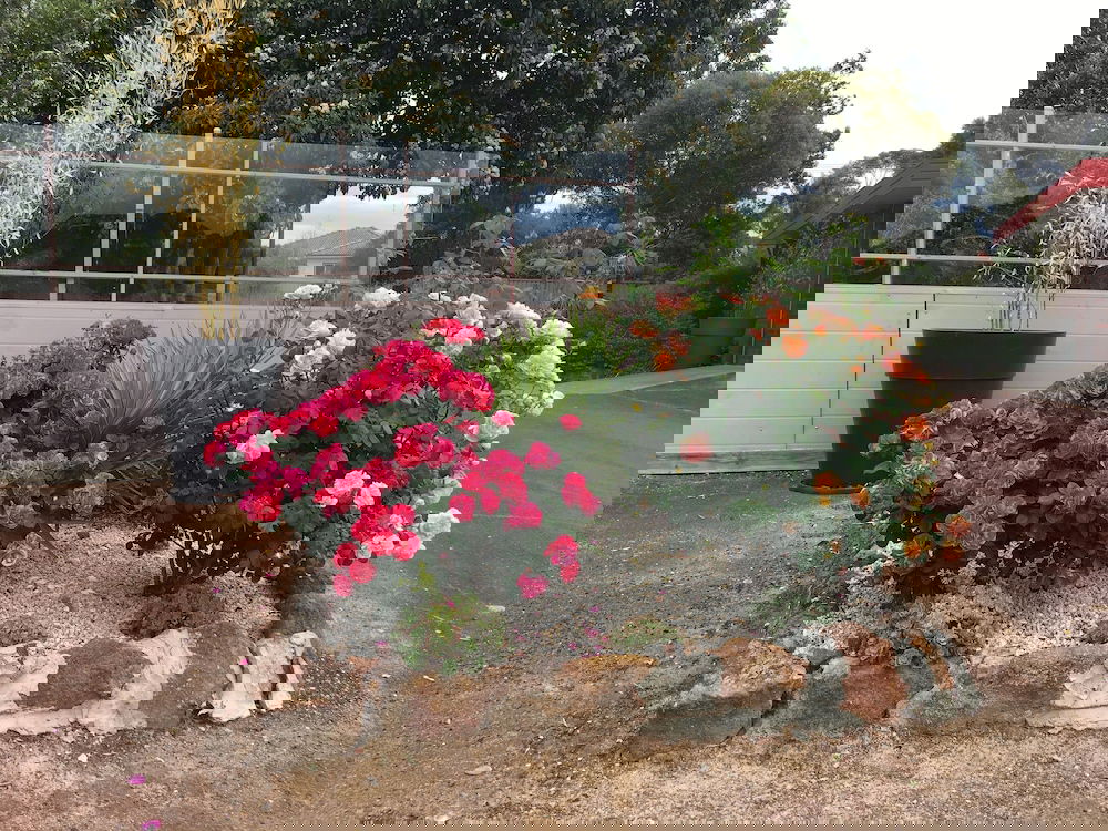 Dobie VIC Tourism Brisbane