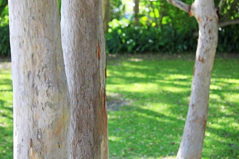 The Retreat Port Stephens - Tourism Brisbane 2