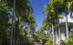 Port Douglas Plantation Resort - thumb 0