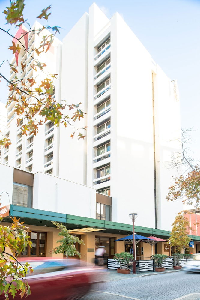 Hovea WA Brisbane 4u