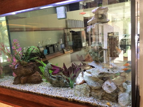 Hospitality Geraldton, SureStay Collection By Best Western - Tourism Brisbane 6