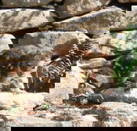 Jenolan Caves House - Brisbane 4u