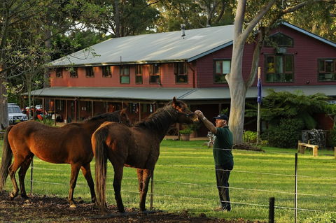 Bilpin Country Lodge - Tourism Brisbane 1