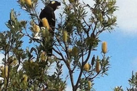 Lake Illawarra B&B - Brisbane Tourism 1